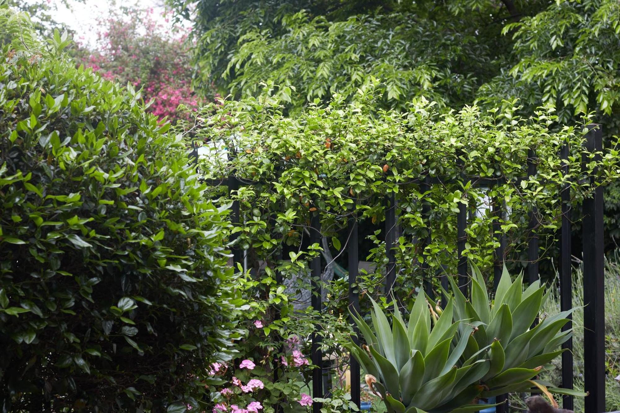 De Akker Guest House Oudtshoorn Bagian luar foto